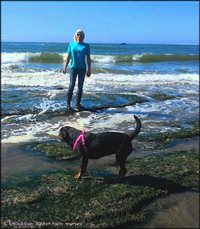 me and my puppy dog playing in the tide pools at our beach..