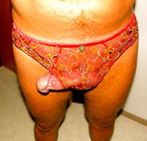 These are my wife's panties, do you like?
