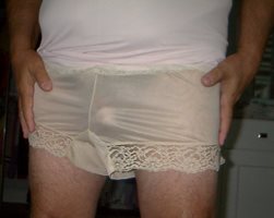 Sheer beige VF panty & pink slip