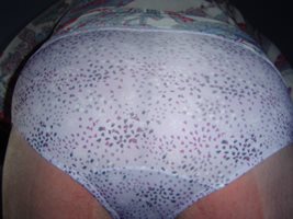 one pair of the new warners panties I just bought