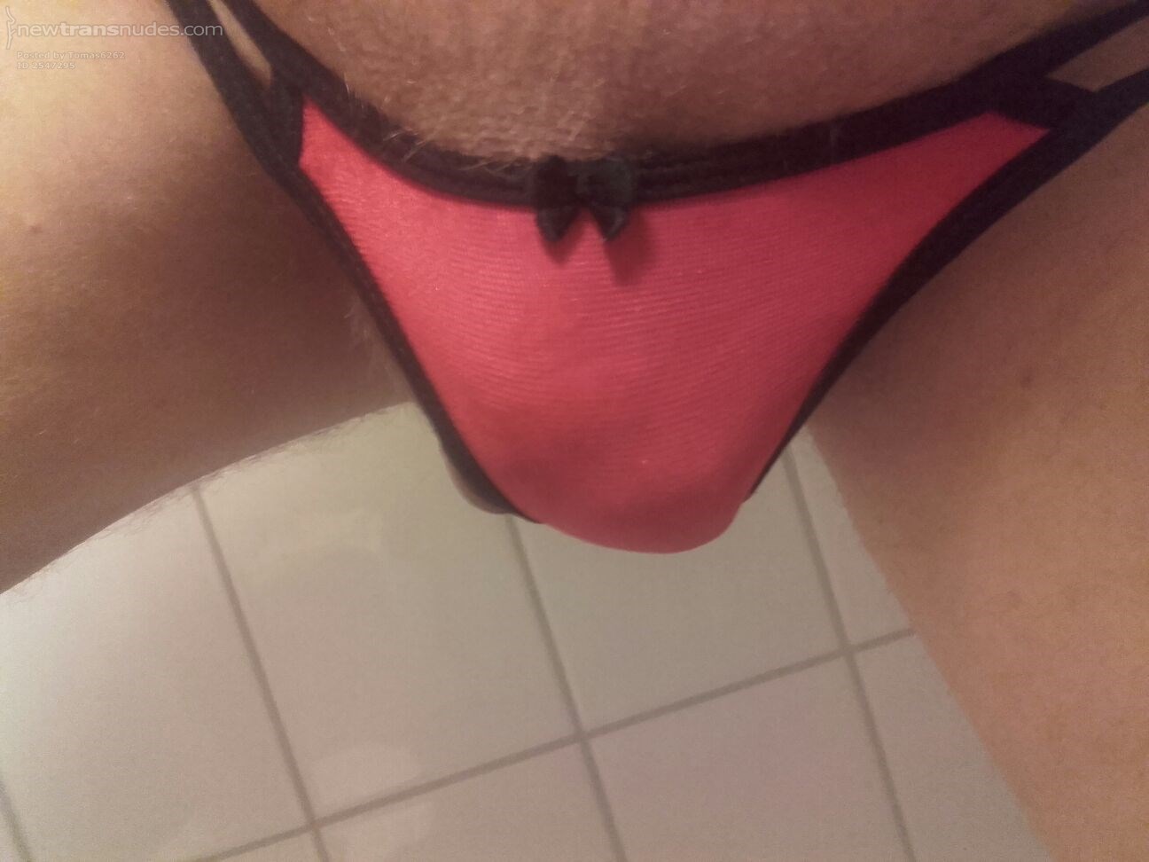 Me in Nicole Monterero`s red panties, she sent this to me with a condom with her cum.