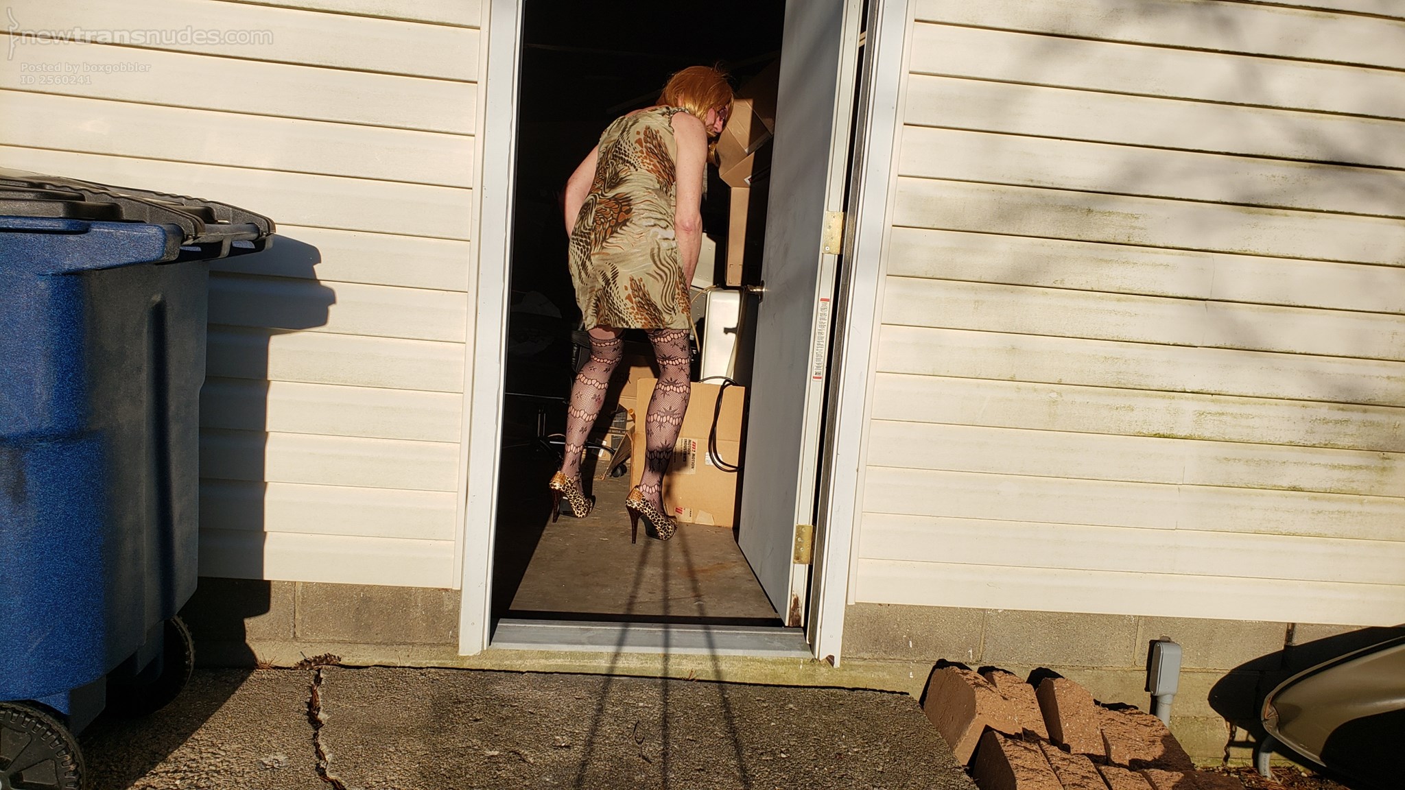 Fun in the evening Sun