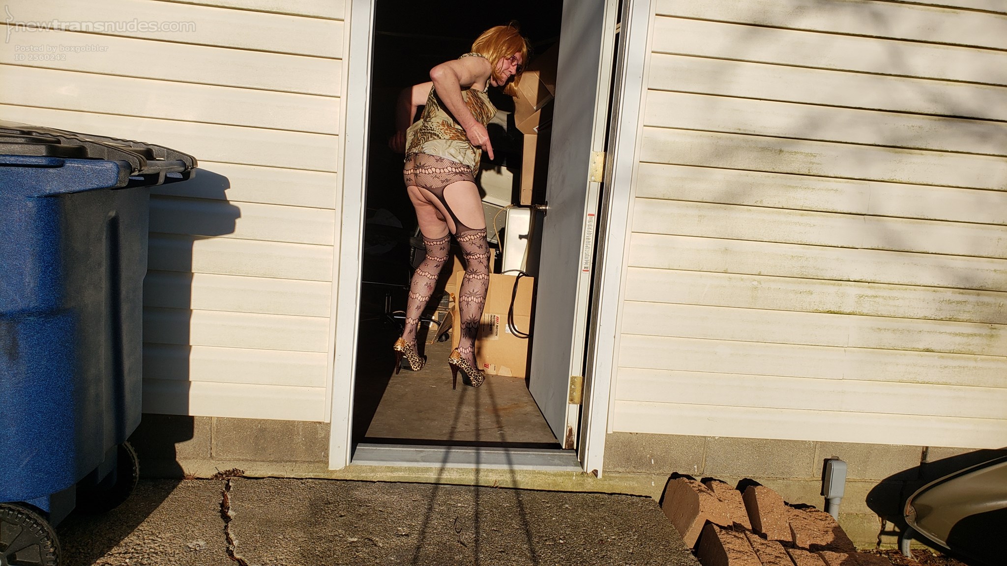 Fun in the evening Sun