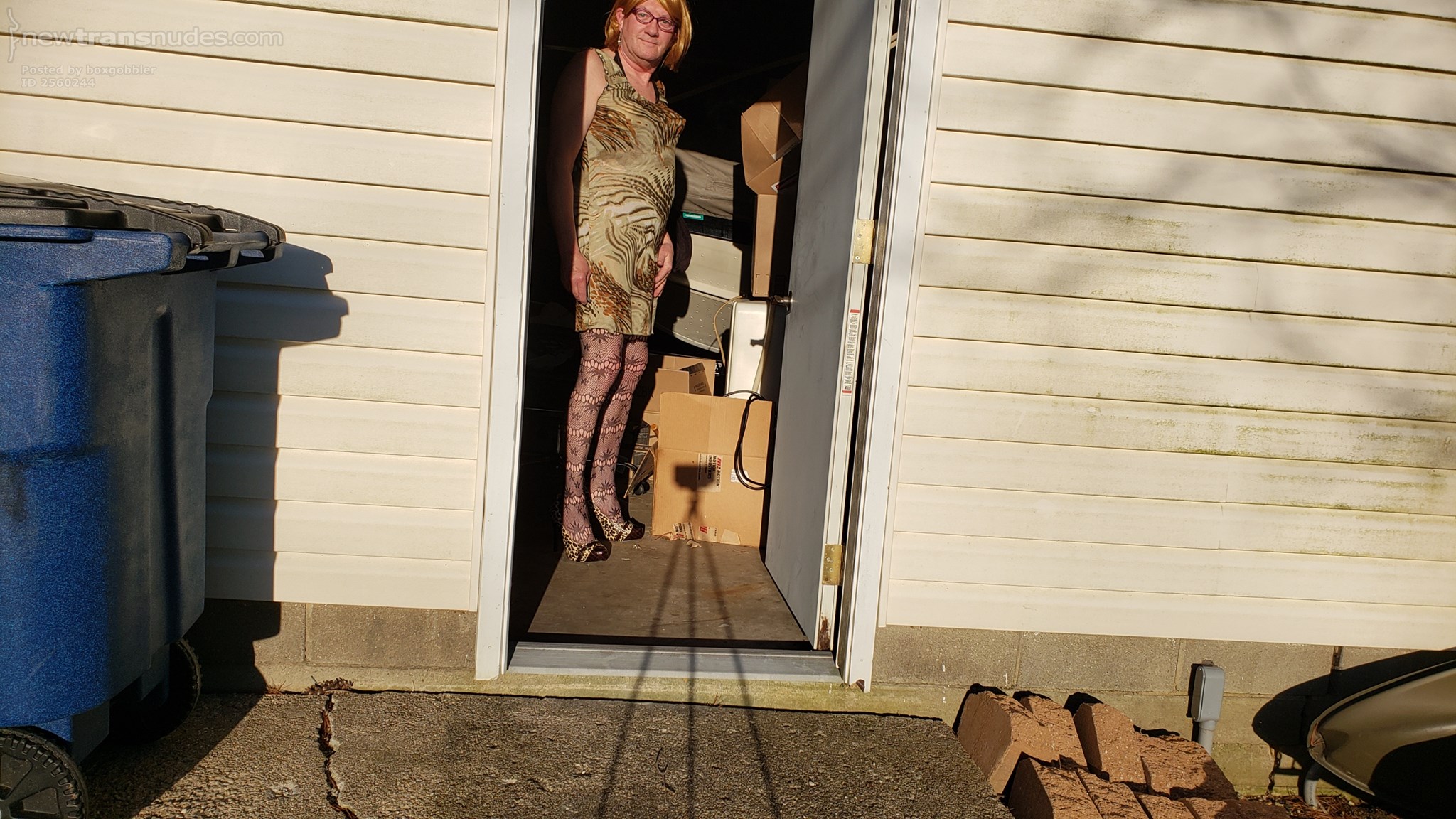 Fun in the evening Sun