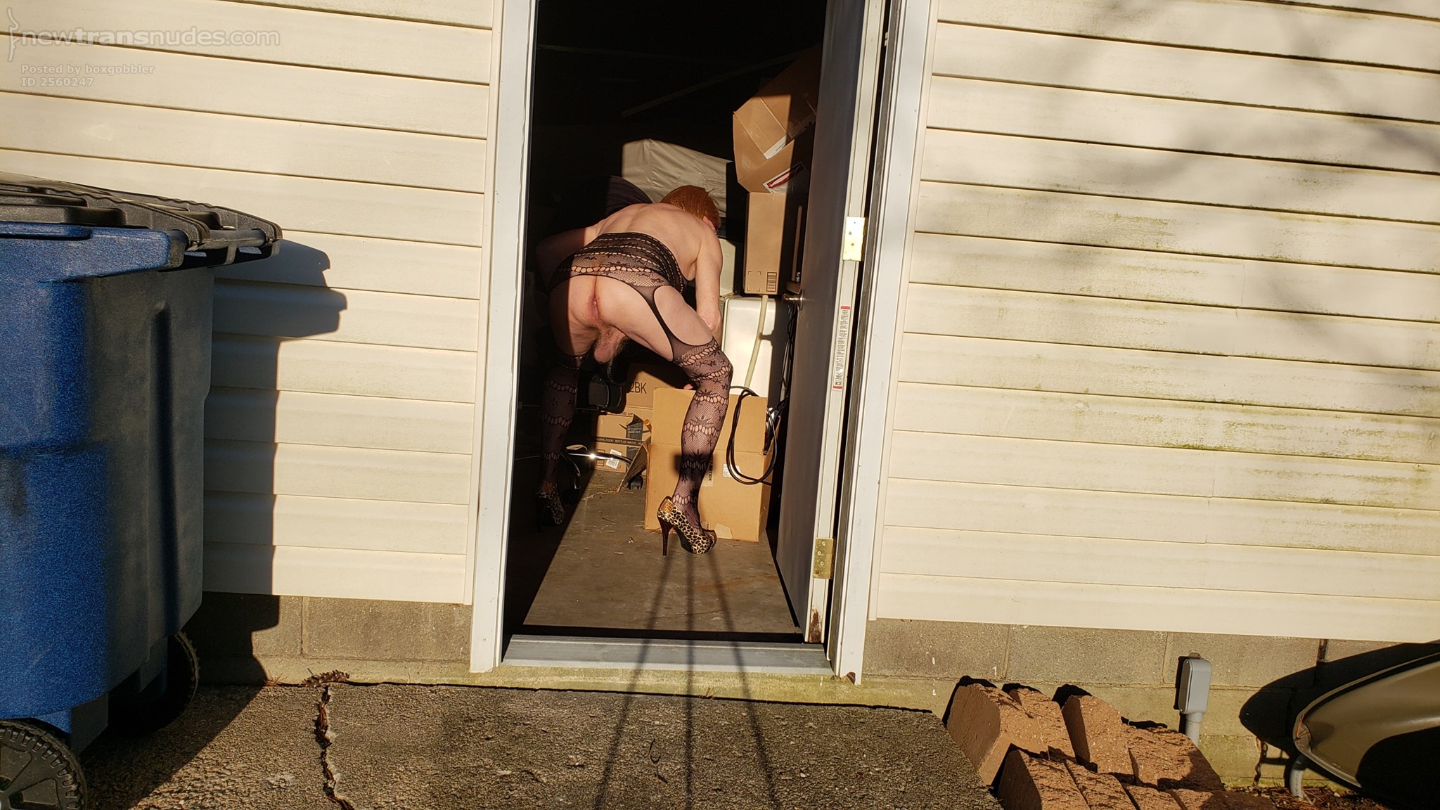 Fun in the evening Sun