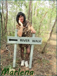 In the Bush 'River Walk' Pic 30