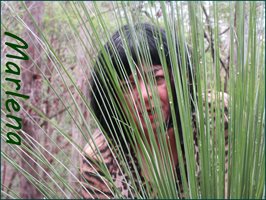 In the Bush 'Me behind a Grass Tree ' Pic 34