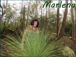 In the Bush 'Me behind a Grass Tree ' Pic 36