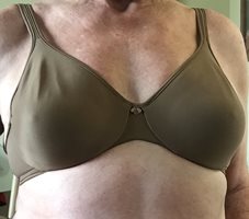 My Salute to Bras continues with a Bali Comfort Devotion bra in brown.