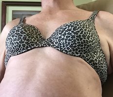 My Salute to Bras continues with a Vanity Fair animal print bra.