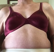 A wine colored VF bra starts today’s Salute to Bras.