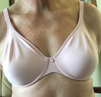 My Salute to Bras continues with a pink Bali underwire.
