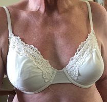 My Salute to Bras continues with a white Warners underwire bra.