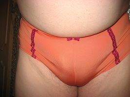         2nd of a job lot of 10 panties that I bought on eBay for £4.99 (yes...