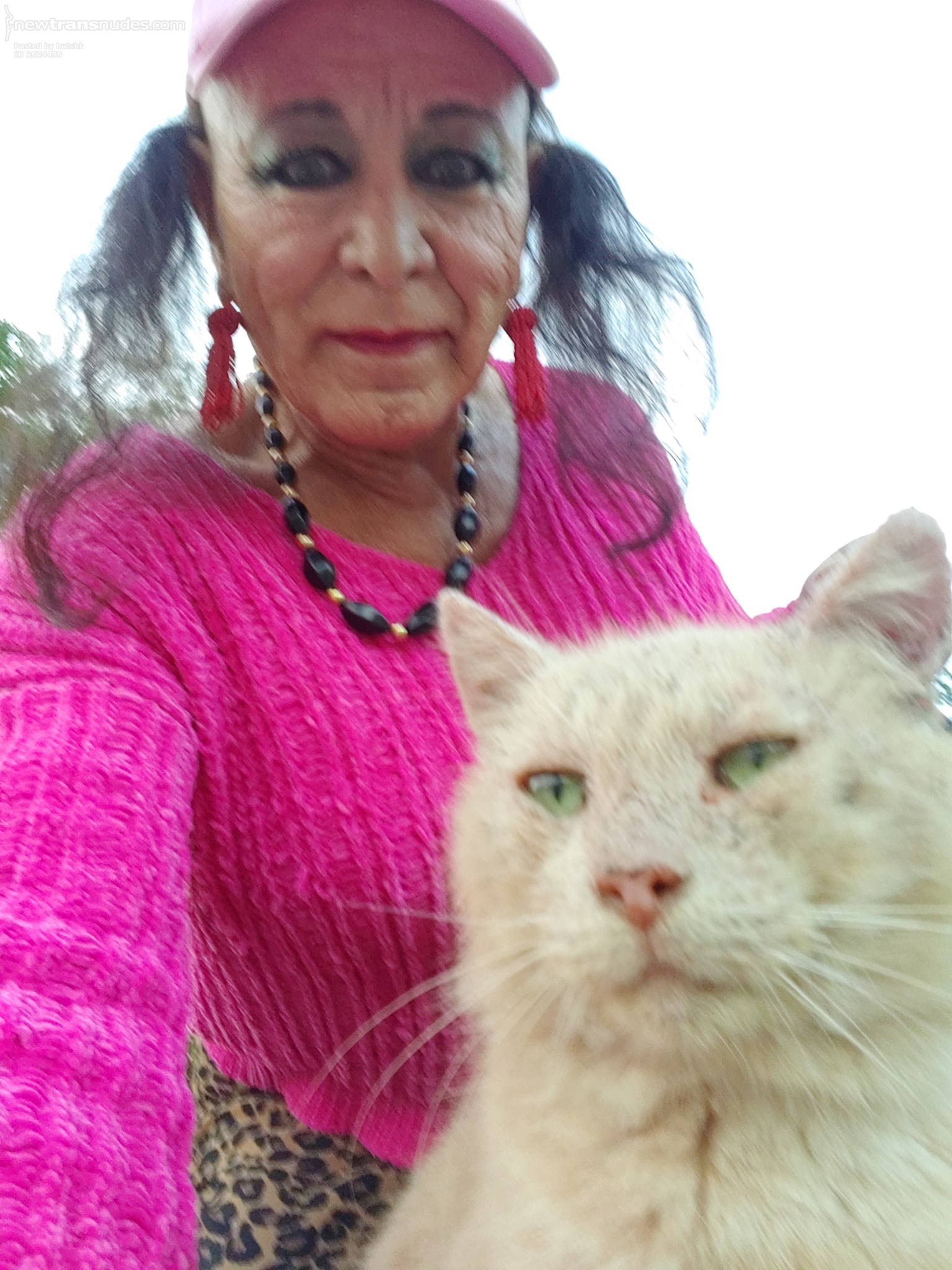 This gurl loves to show off her huge tits! Me with my feral cat family.