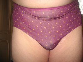 New Panties first worn 28 March 2020