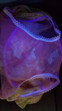 Ulta Violet Spunk Detector in use on 1960s knickers