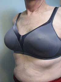 steel grey bra
