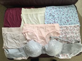 New bra and six new panties just arrived. I can hardly wait to wear them.