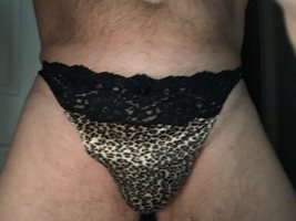 Silky animal print panties!  Anyone wanna tame what’s in them?  Mmmmm
