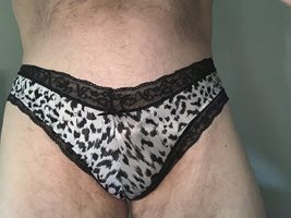 Silky animal print panties!  Anyone wanna tame what’s in them?  Mmmmm