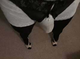 Cock bulge in panties 😚