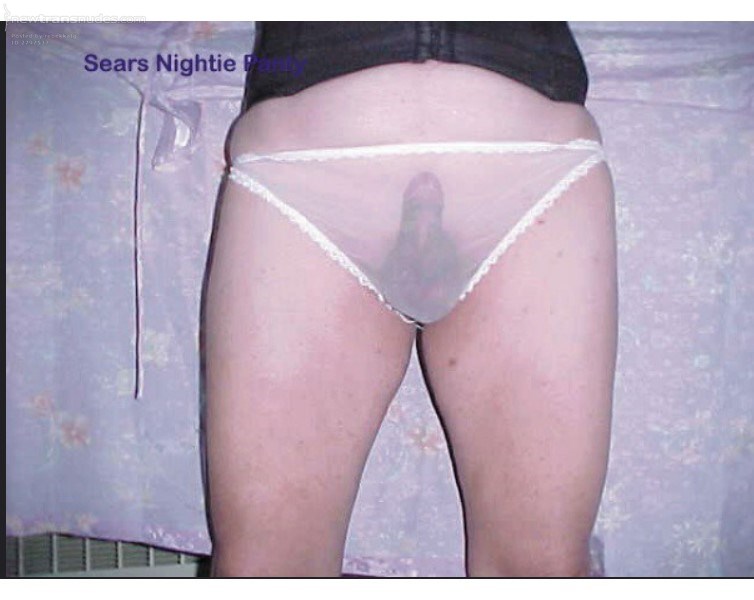 Sears Sheer Panties