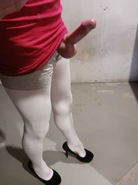 Panty bulge and hard cock