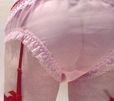 sheer pink panties 3