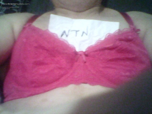 New,charity shop buy