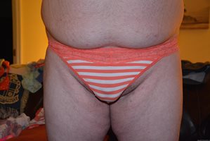my panty cock