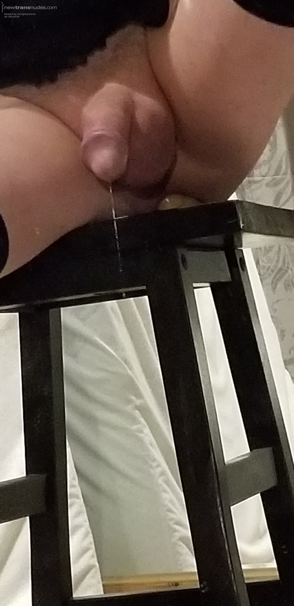 Leaking while riding my vibe. Isn't it a shame for such delicious precum to go to waste?