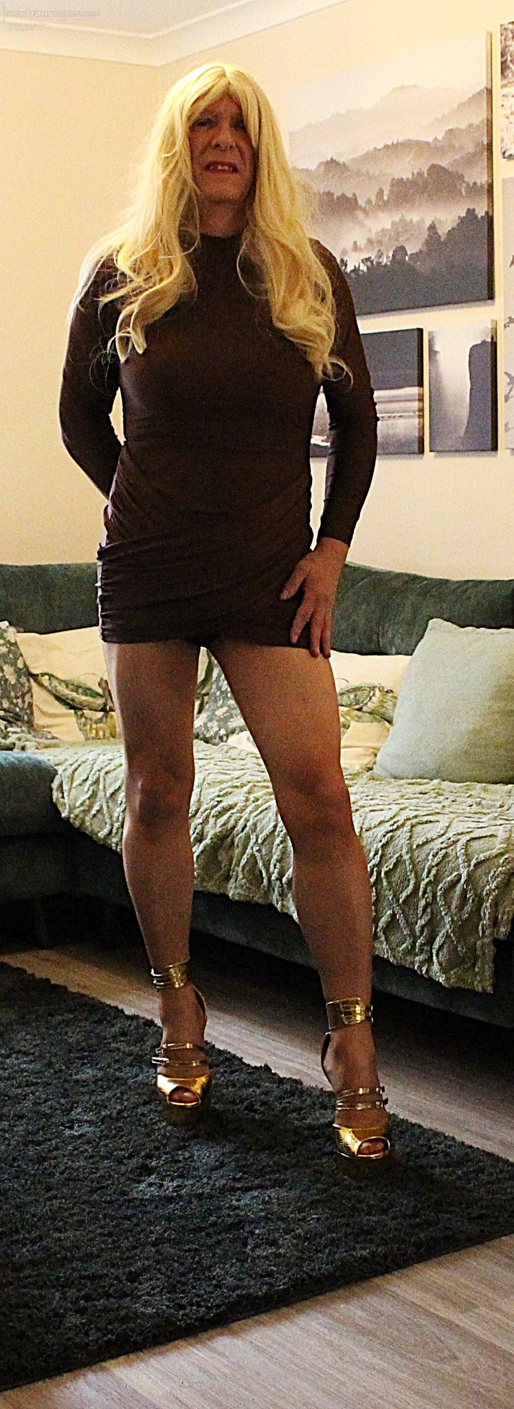 Brown Mini Dress