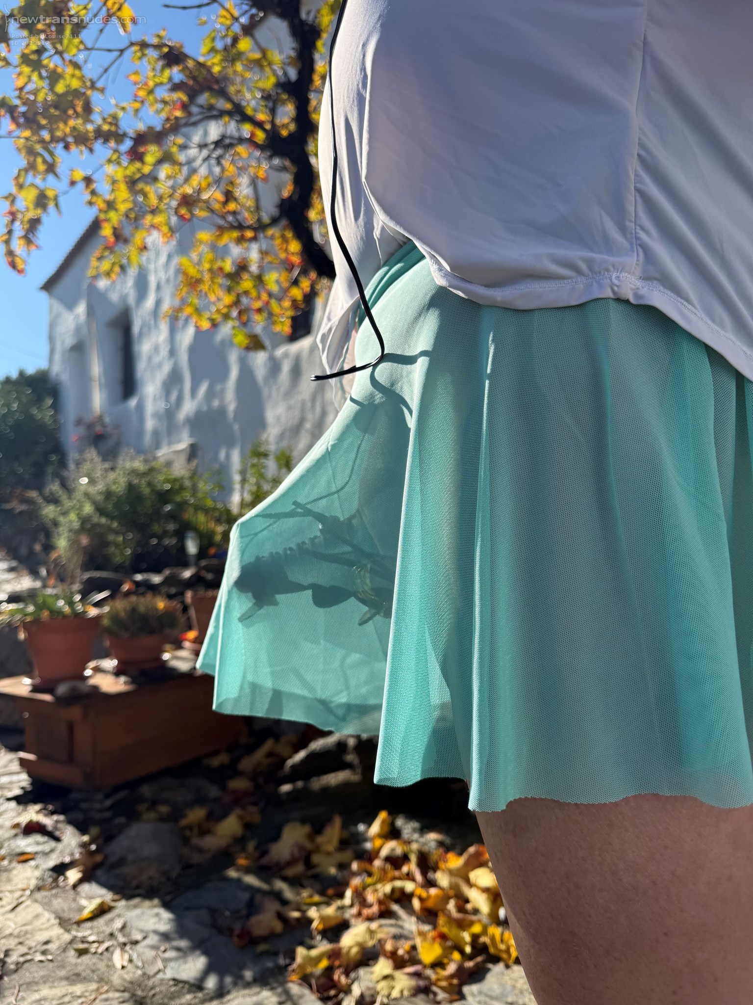 The genital fully prepared for milking seen through my cute sheer short ski...