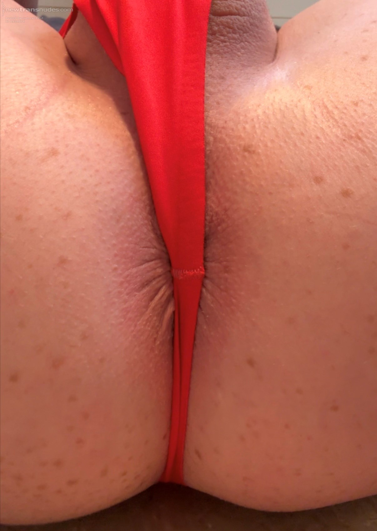 Freshly shaved and new panties