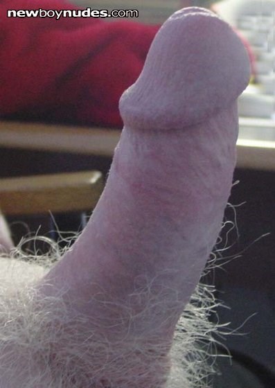picture of my cock! lets 69
