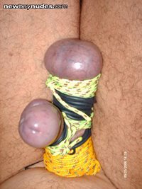 sculpted cock & balls