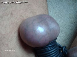 love blue cock and balls