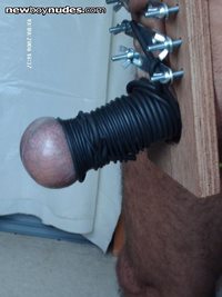 balls and cock discipline