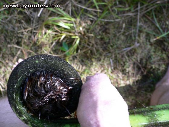 Both of these unfurl.