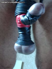 bondaged cock & balls