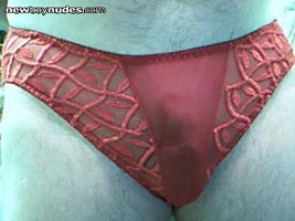 sheer red panties