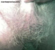 For the guy who liked my hairy balls. PM me for my webcam address.