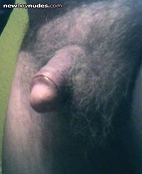 My hairycock and balls again. PM me please. I'd love to show them on webcam...