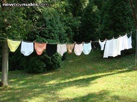 Washday, bet the neighbors are looking.hope they are.