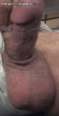 My hairy dick and big balls. Tell me what do you like to do with them!