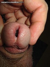 hole spread wide for your cum