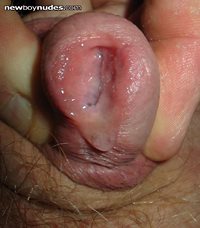 seminal fluid pouring out of my spread meatus - lick it for me?