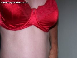 my pretty red bra