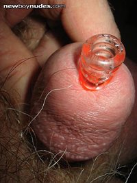 ultra-sensitive "touch buds" on head of penis